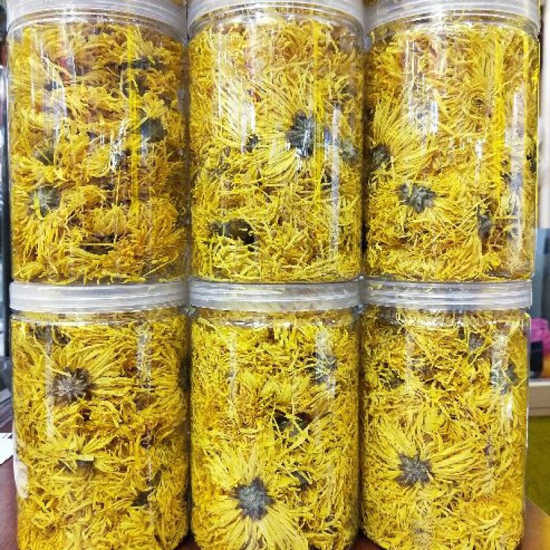 皇菊茶金丝皇菊