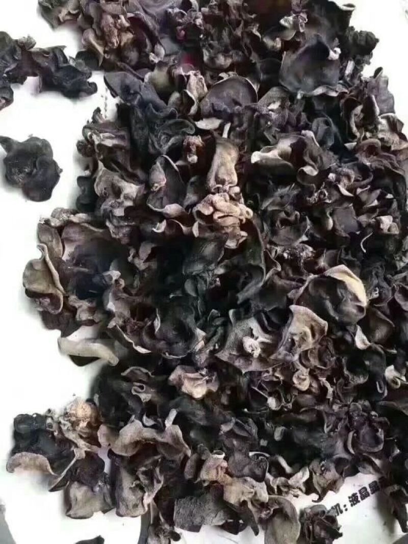 木耳二级