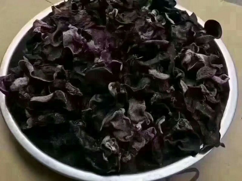 木耳二级