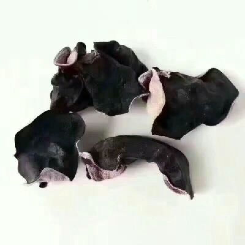 木耳二级