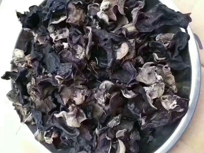 木耳二级