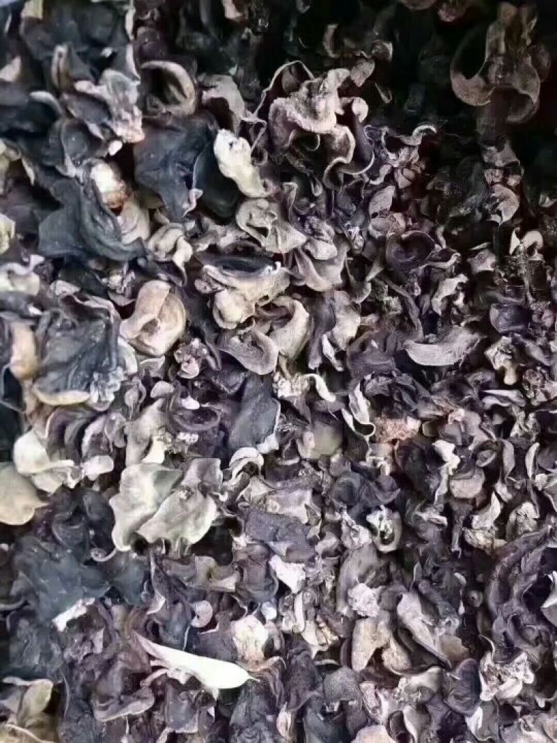 木耳二级
