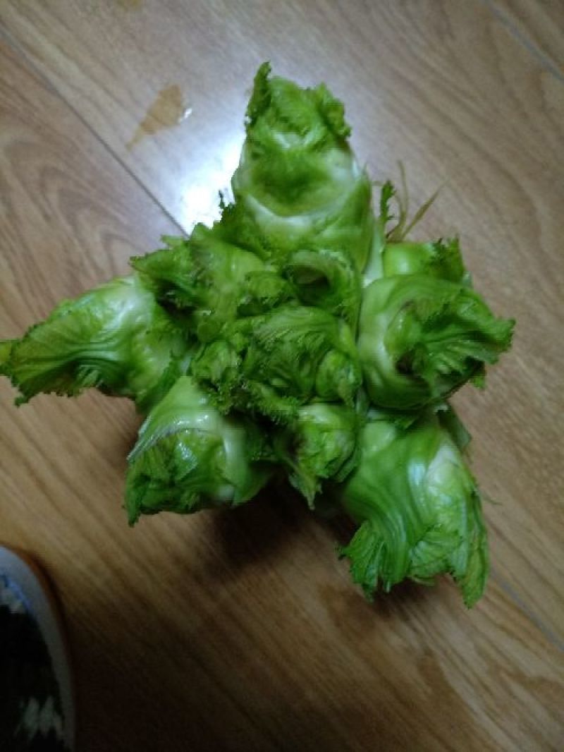 儿菜5两以上