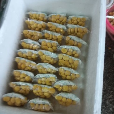 板栗板栗仁