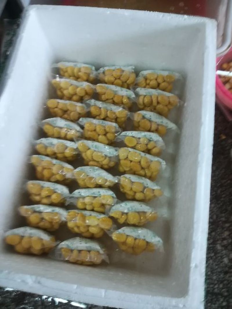 板栗板栗仁