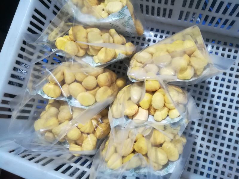 板栗板栗仁