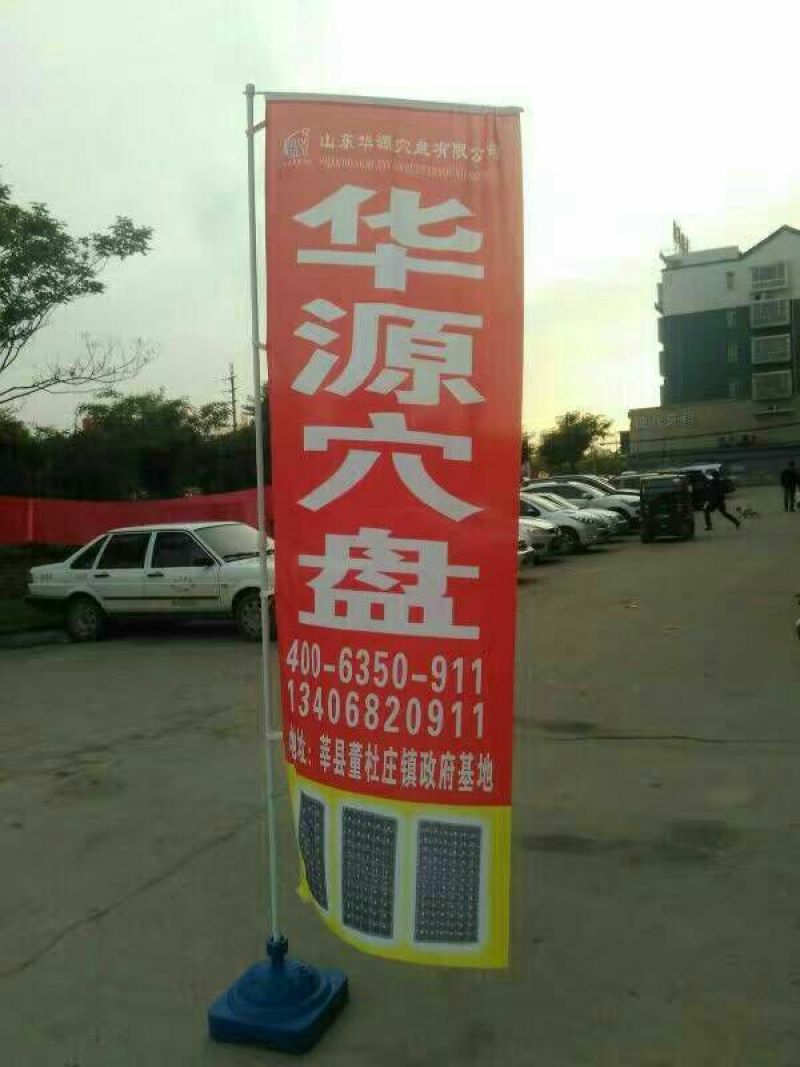 穴盘