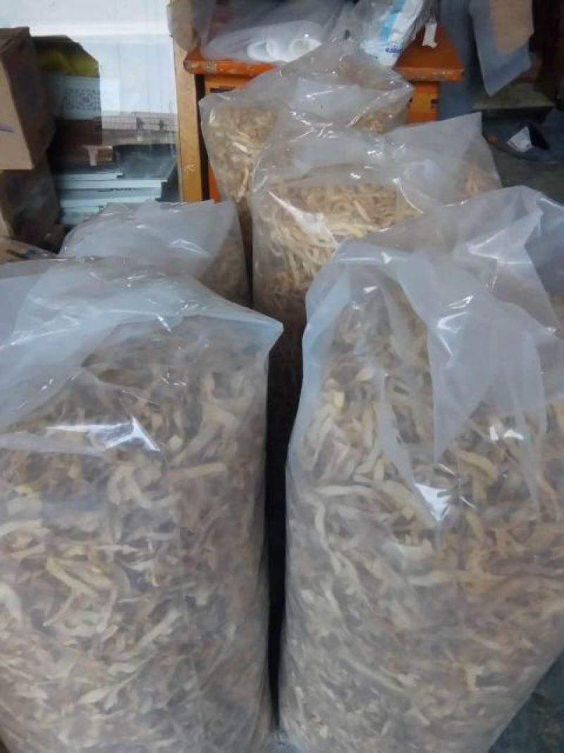 玉竹干