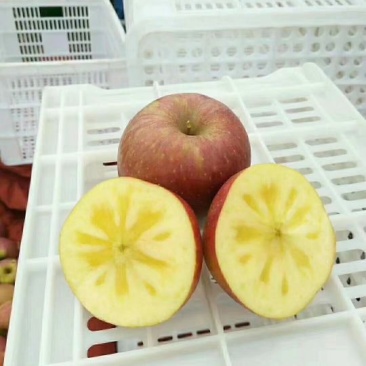 苹果75mm以上光果