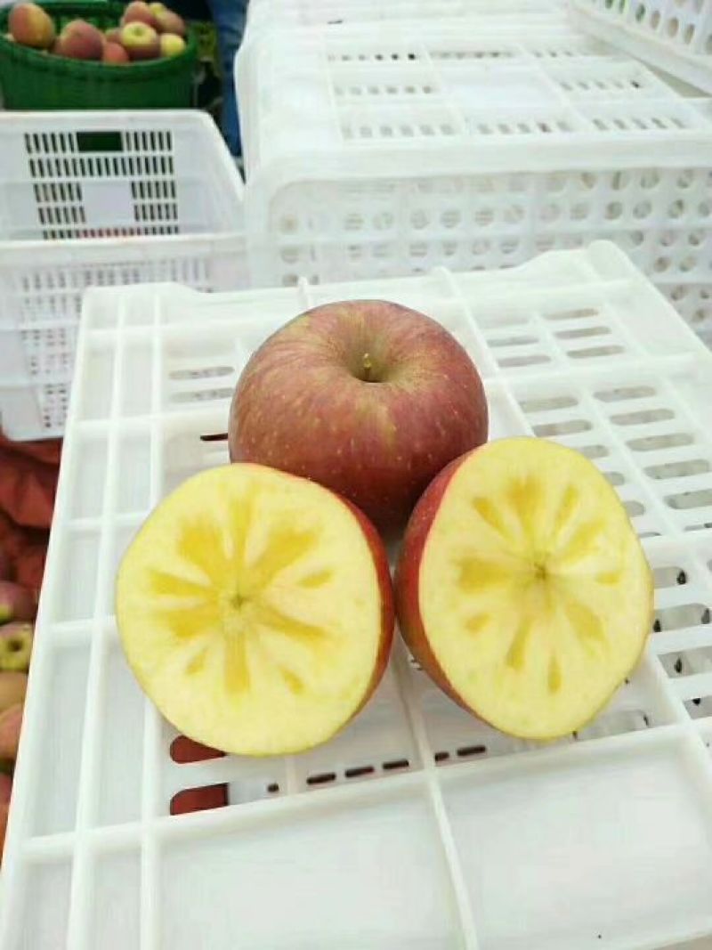 苹果75mm以上光果