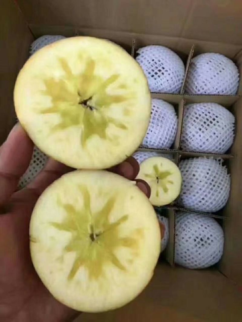 苹果75mm以上光果