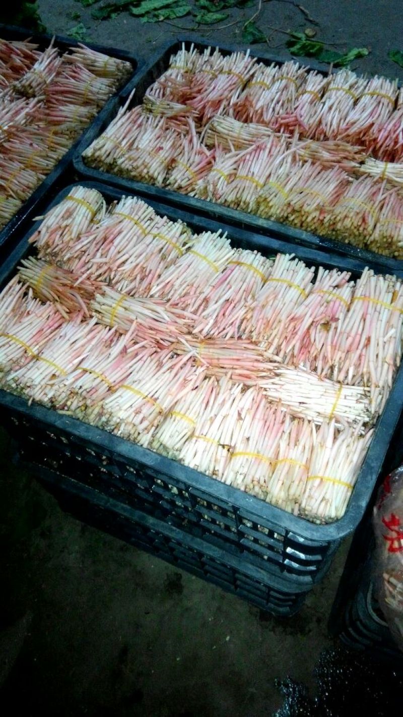 鱼腥草包装袋