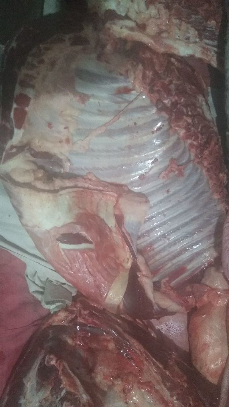 驴肉鲜货