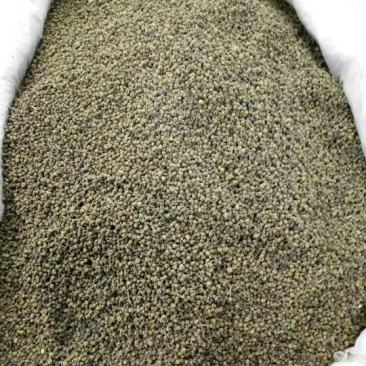 吴茱萸中花高含量中花选货江西1公斤起批无硫无添加
