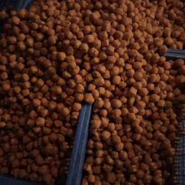 油豆腐干豆腐