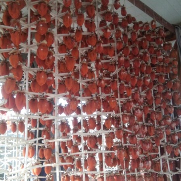 柿饼1~2两