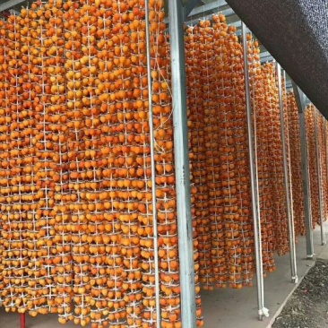 柿饼1~2两