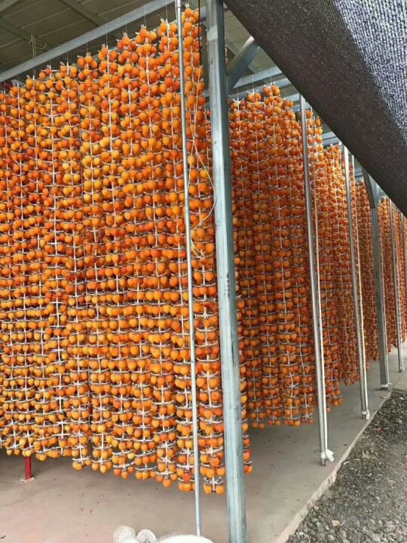 柿饼1~2两