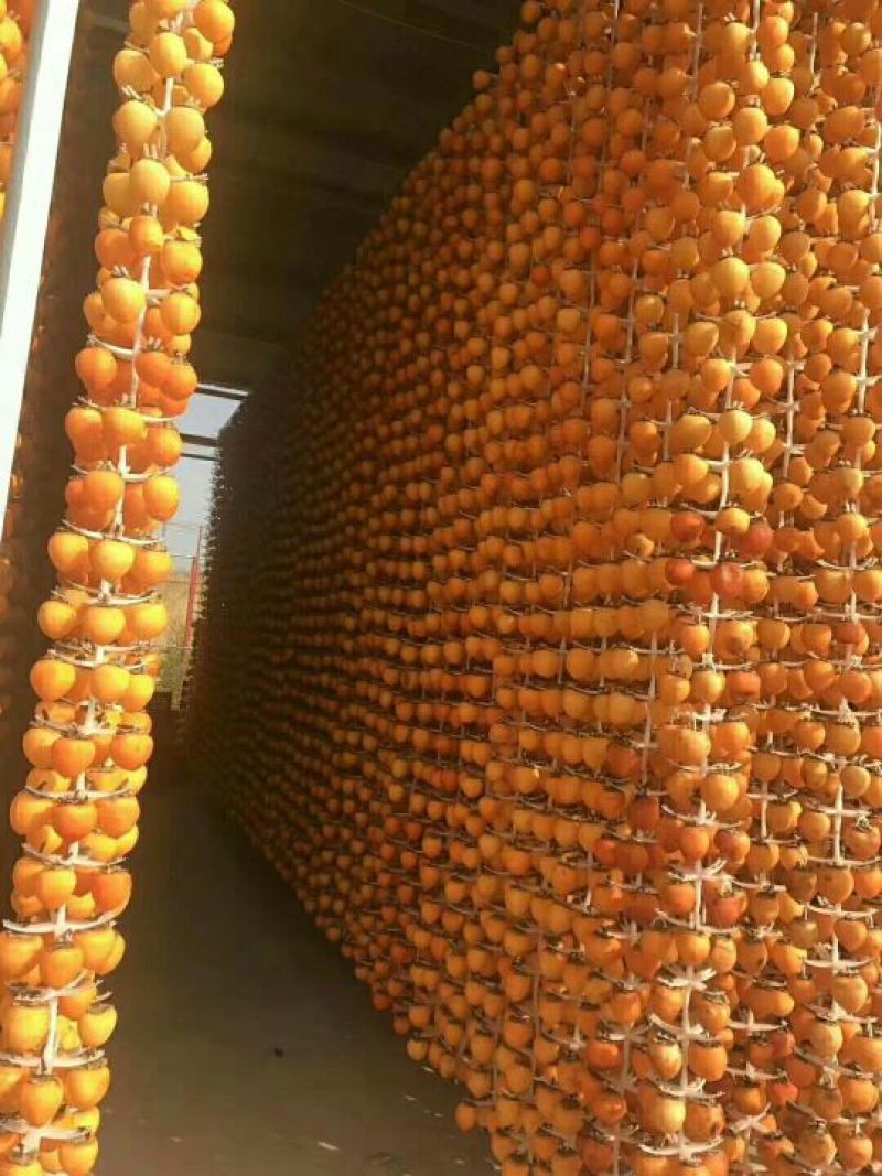 柿饼1~2两