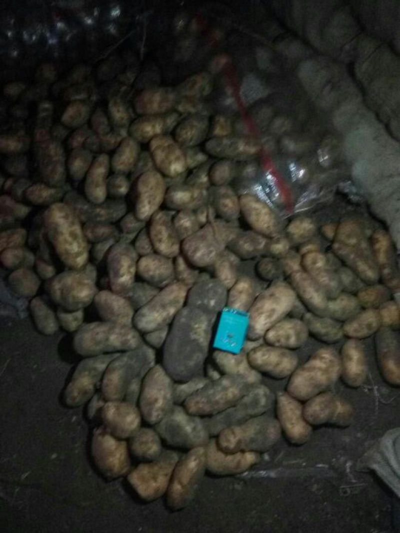荷兰十五土豆3两以上通货