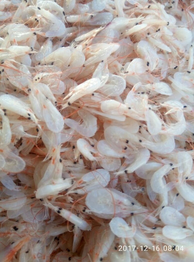 虾皮一级