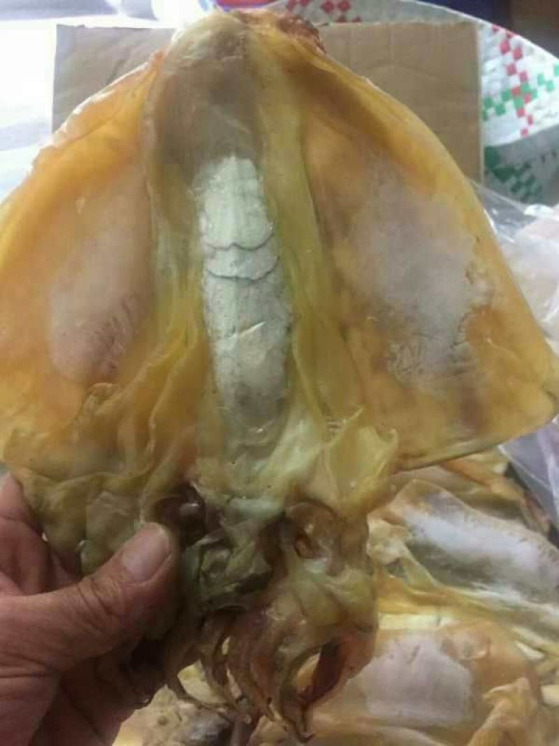 鱿鱼干日晒鱼干