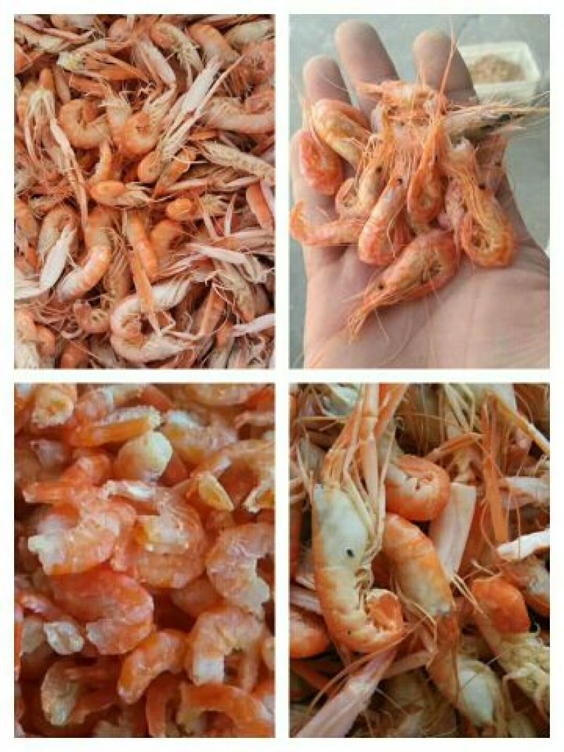红虾食用冻虾