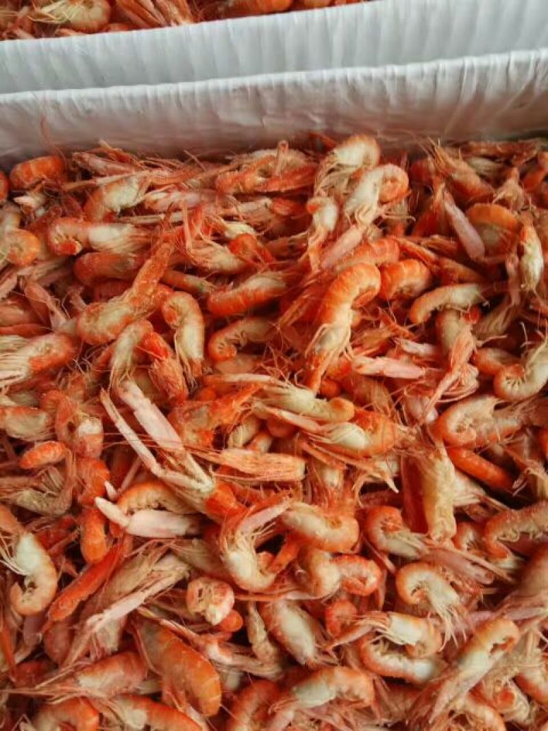 红虾食用冻虾
