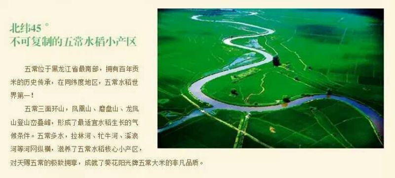 2025年五常稻花香2号大米一级新米