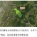 2025年五常稻花香2号大米一级新米