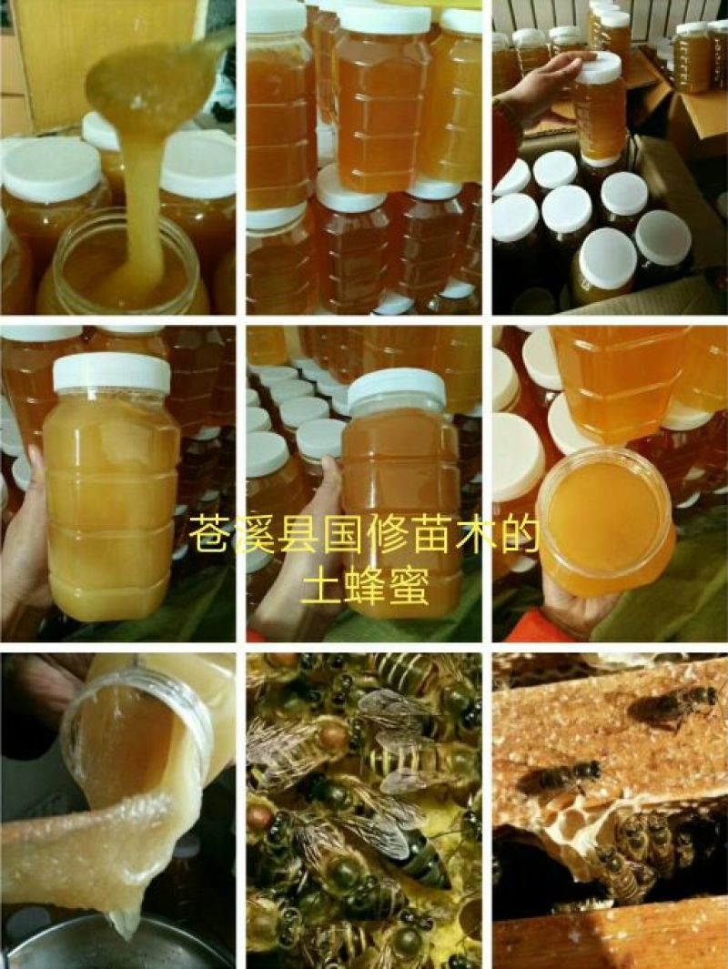 土蜂蜜包邮百花蜜高山油菜花蜜农家自家养殖销售