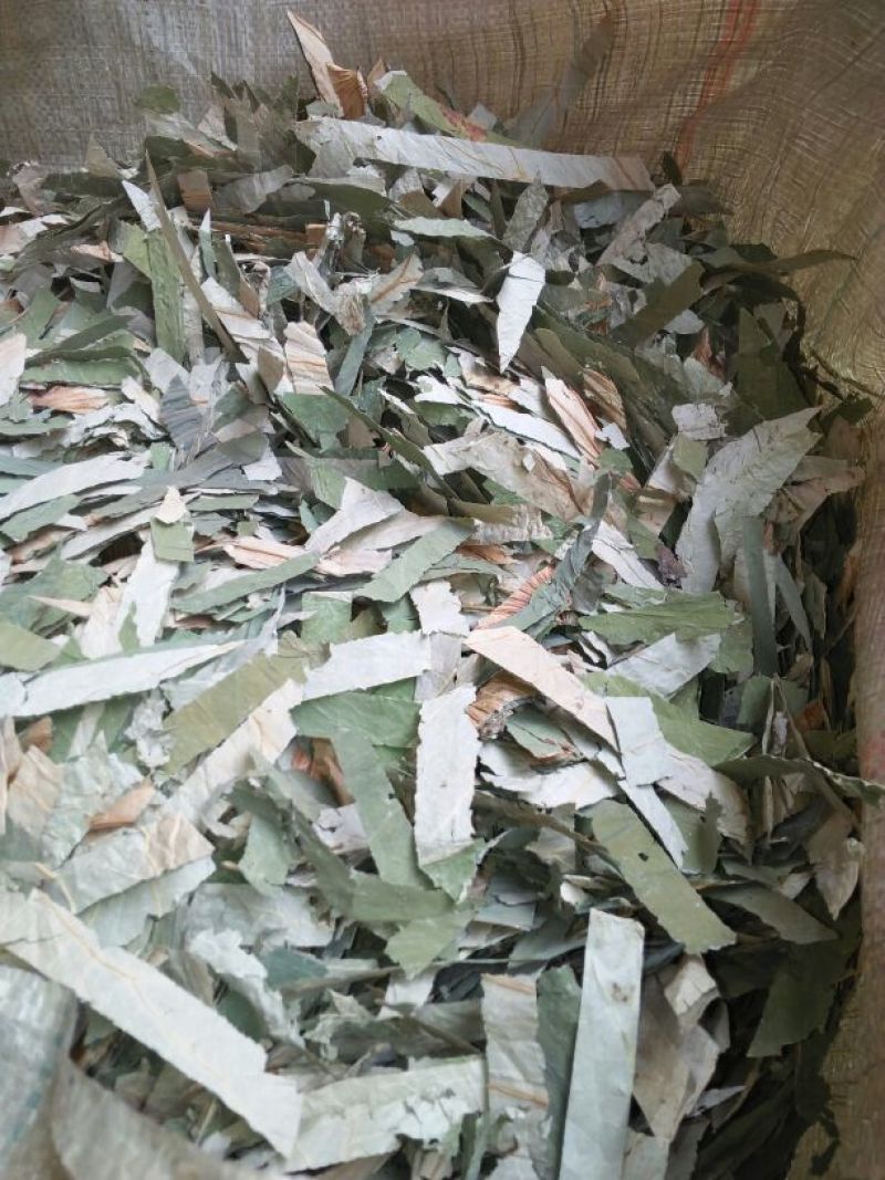 荷叶20cm以下统货