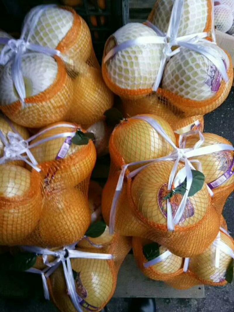 【热买中】琯溪蜜柚产地大量上诚信代办保质保量一手货