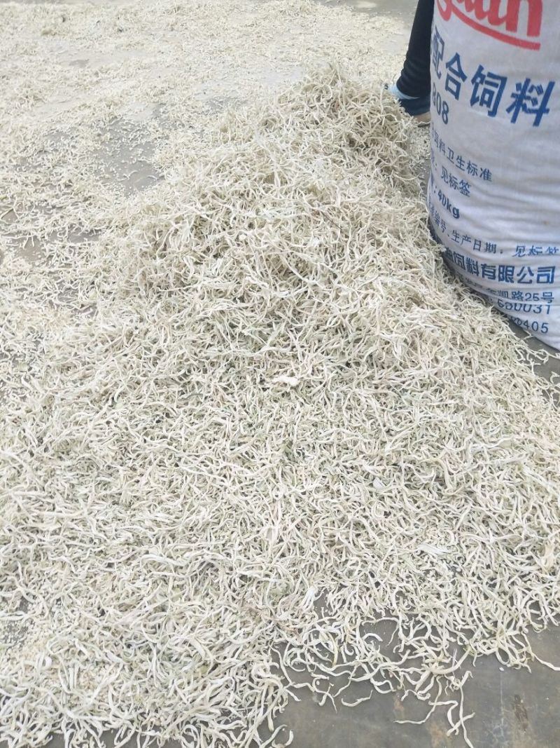 木瓜丝