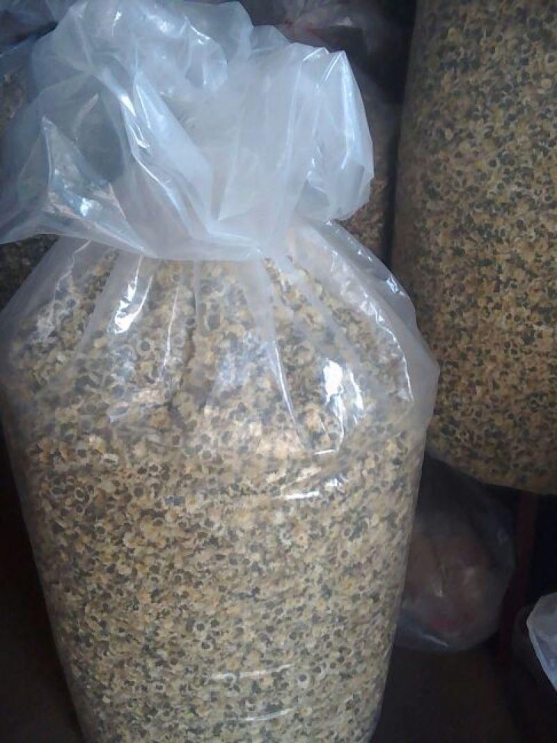 药用菊花散装
