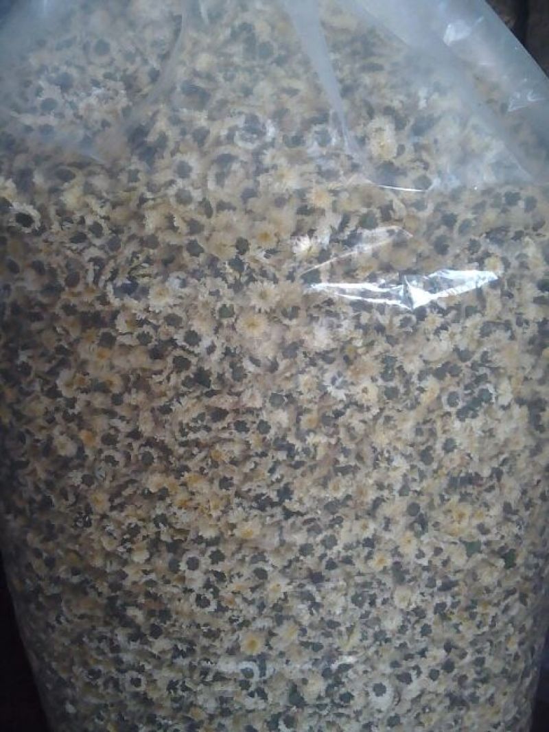 药用菊花散装