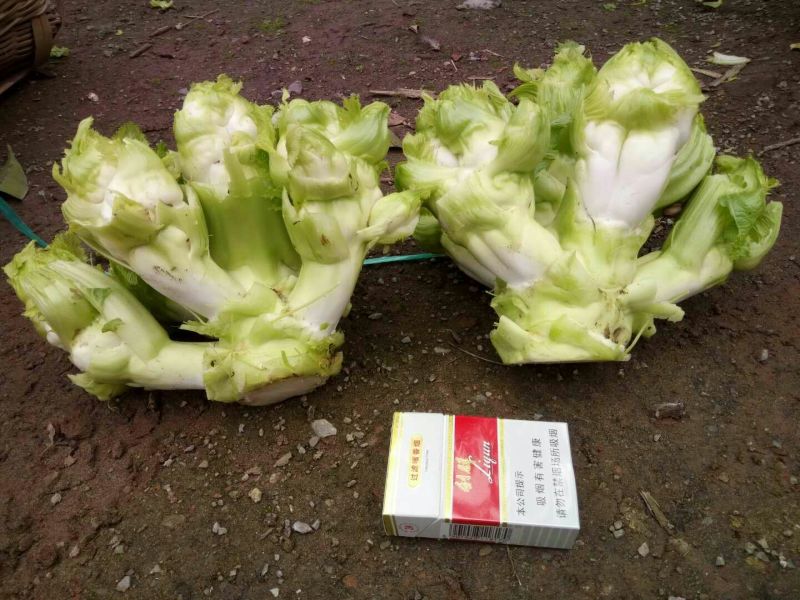 通货