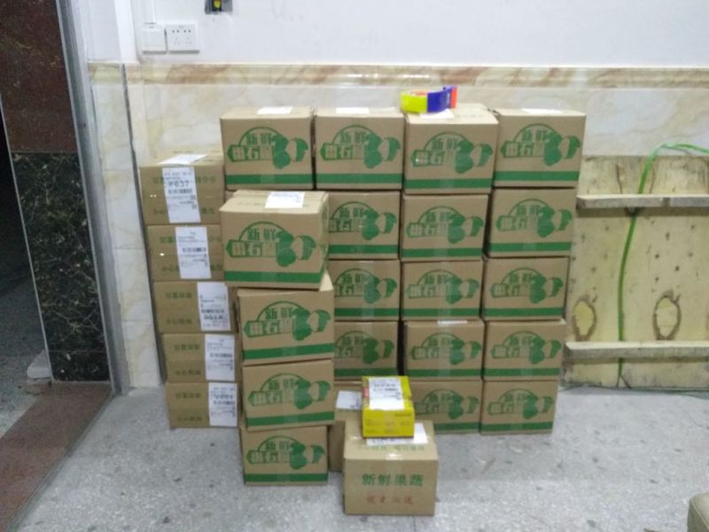 西瓜番石榴甜脆红肉红心番石榴
