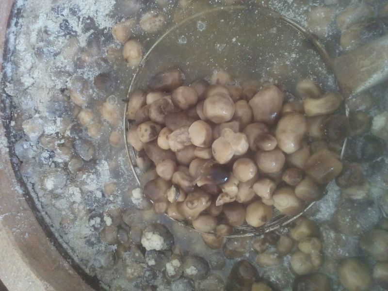 草菇5~6cm以上