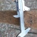 国槐6~8cm4~6cm1~2米