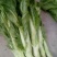 棒菜5两以上