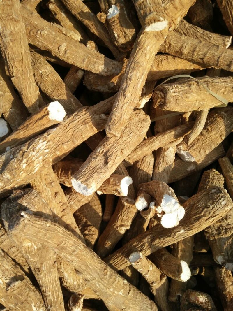 白芷纯无硫袋装香料药用规格齐全自产自销基地直供
