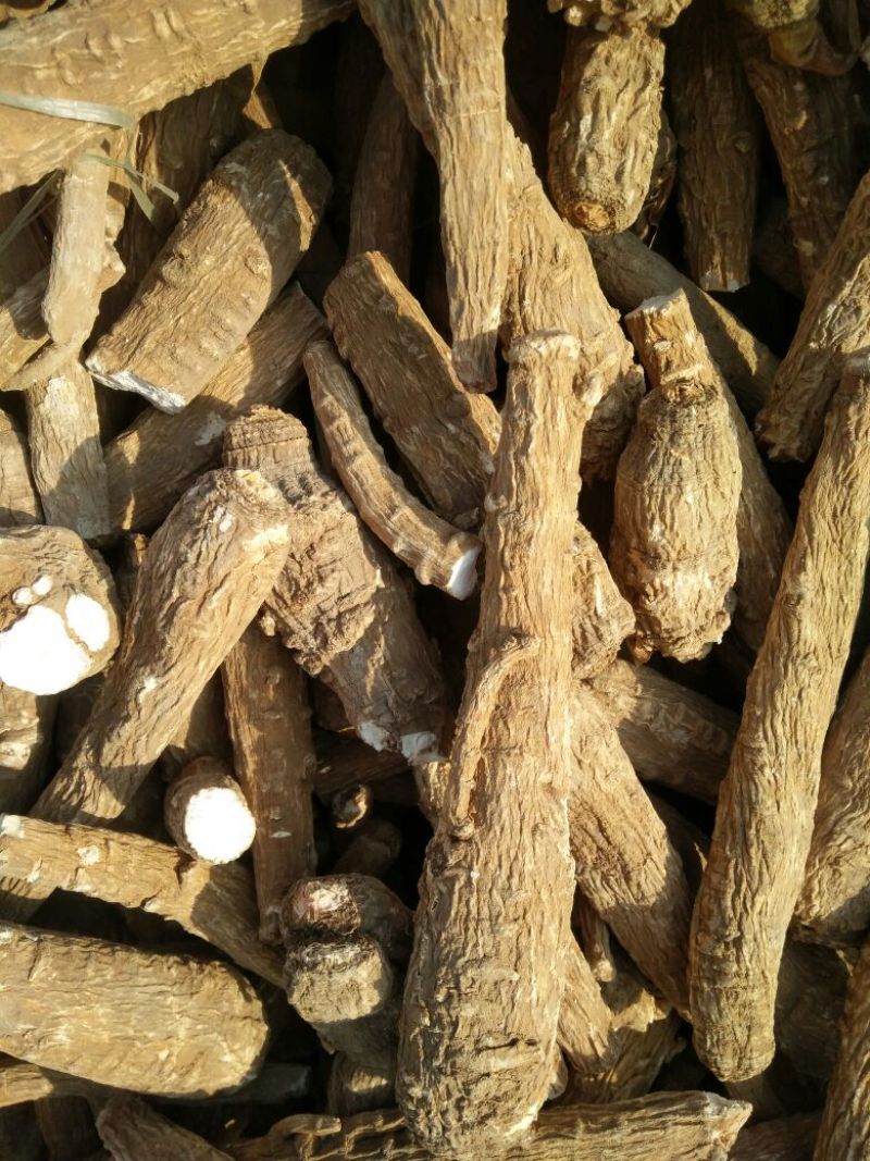 白芷纯无硫袋装香料药用规格齐全自产自销基地直供