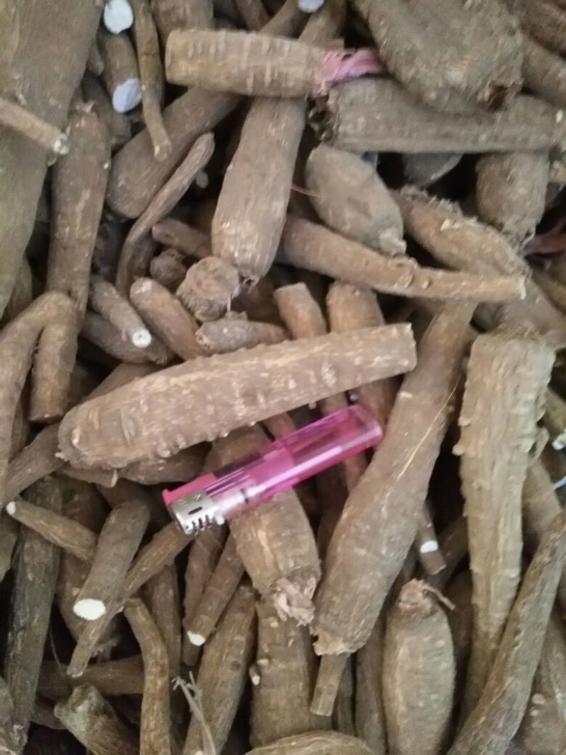 白芷纯无硫袋装香料药用规格齐全自产自销基地直供