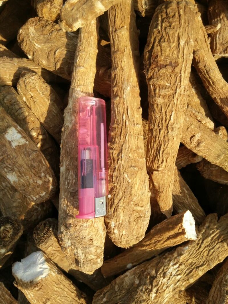 白芷纯无硫袋装香料药用规格齐全自产自销基地直供