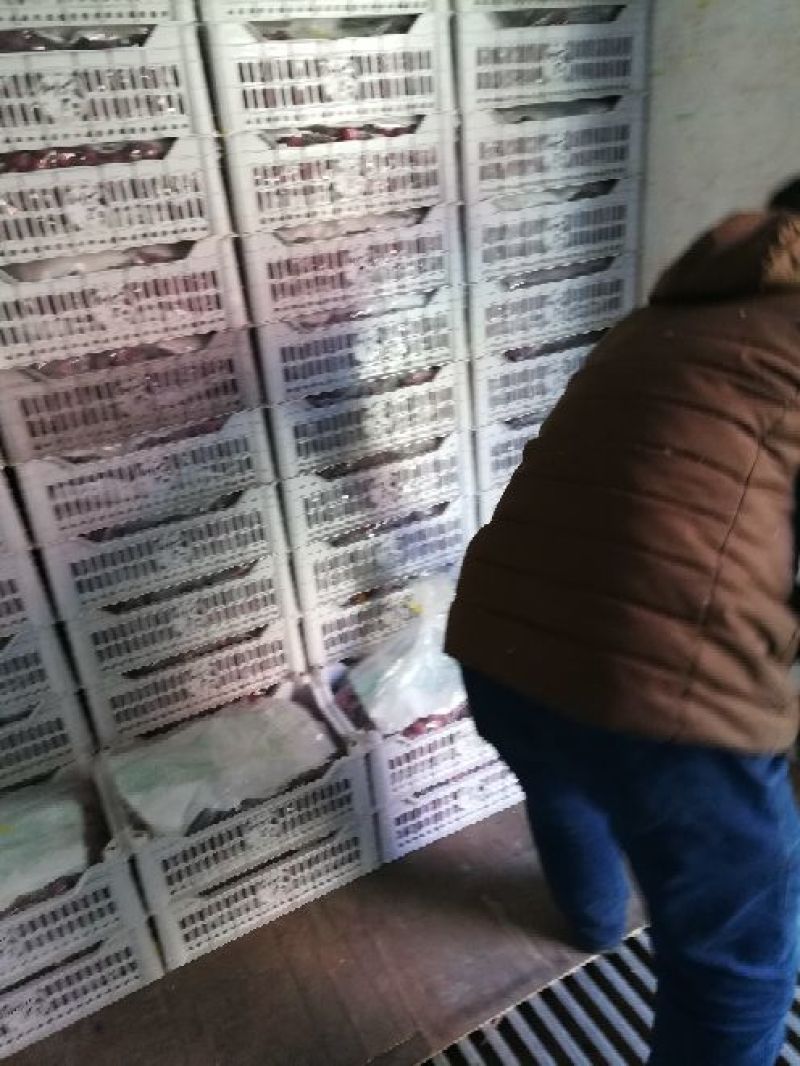 红提葡萄5%以下1~2斤