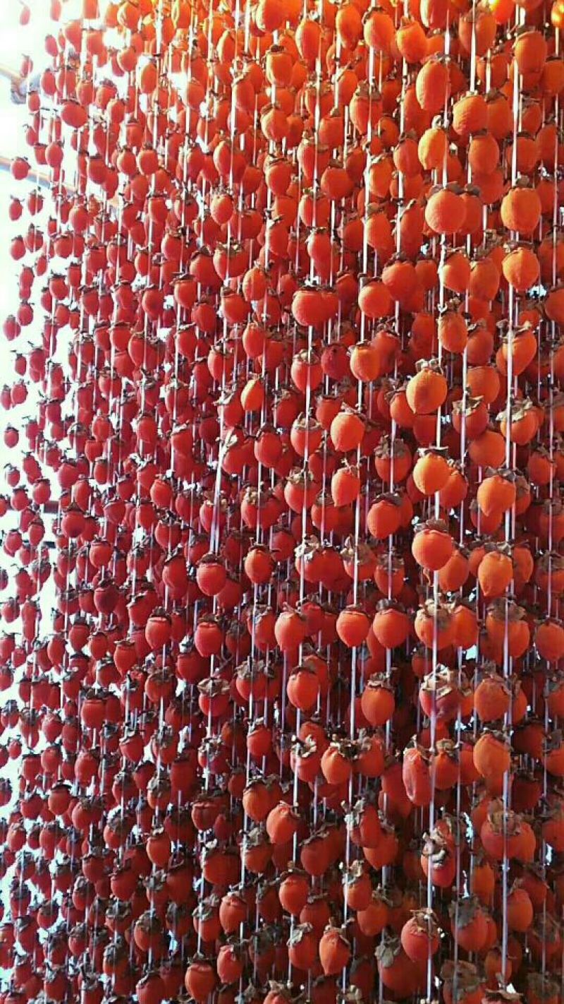 柿饼1~2两