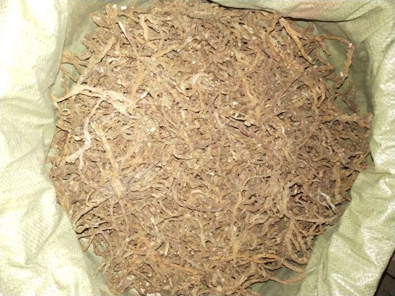 石菖蒲福建足干货统条