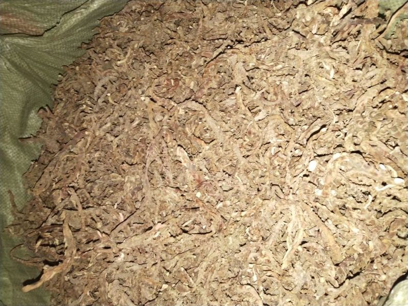 石菖蒲福建足干货统条