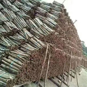 厚肉桂包装统货